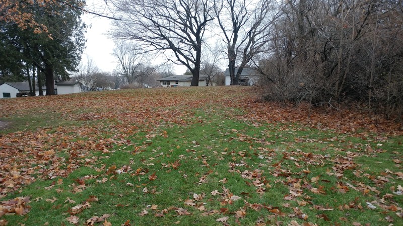 The cemetery is mostly unremarkable, with most markers grown over. It is located in a residential neighborhood.