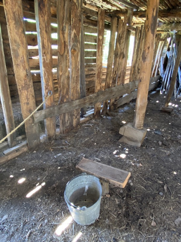 Interior of the milking barn, featuring stations to hold the cows in place, a milking stool, and a bucket