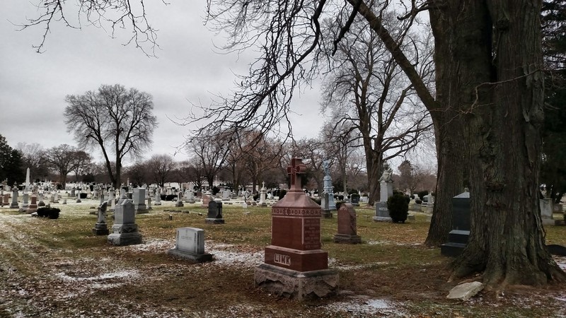 View of the cemetery from Speedway Road. Photo by Peter Wagner