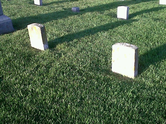 Plant, Rectangle, Cemetery, Grass