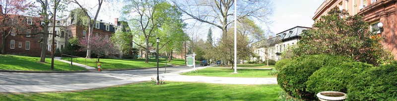 Tree, Property, Natural landscape, Public space