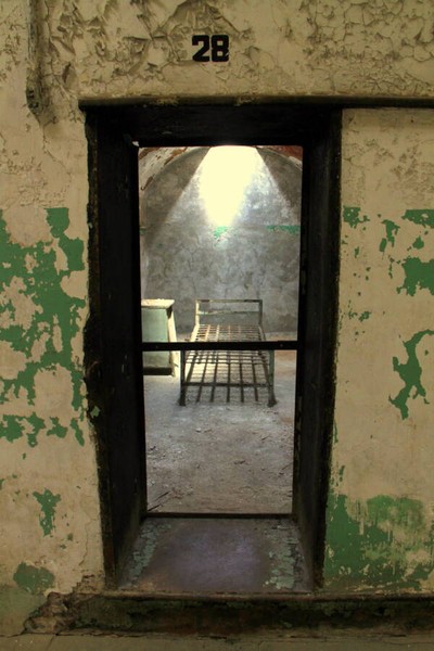 Green, Wood, Architecture, Shade