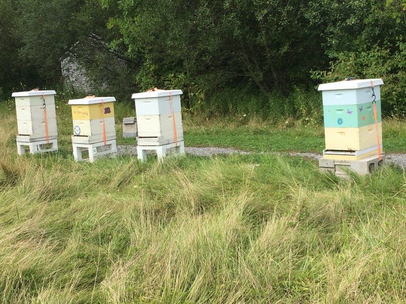 Apiary