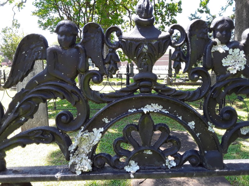 Detail on Wrought Iron Gate in Mount Holly Cemetery