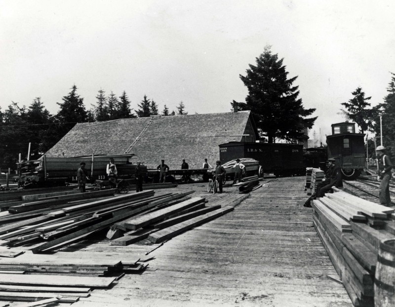 Sky, Wood, Tree, Track