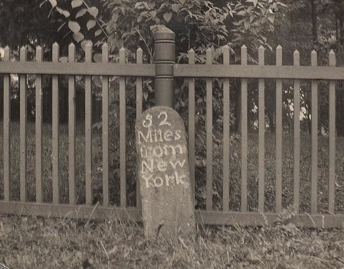 Plant, Fence, Wood, Picket fence