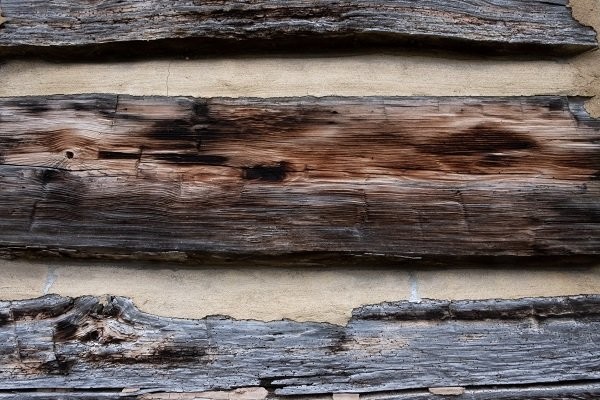 Hewn log construction
Photo by Todd A. Stuart