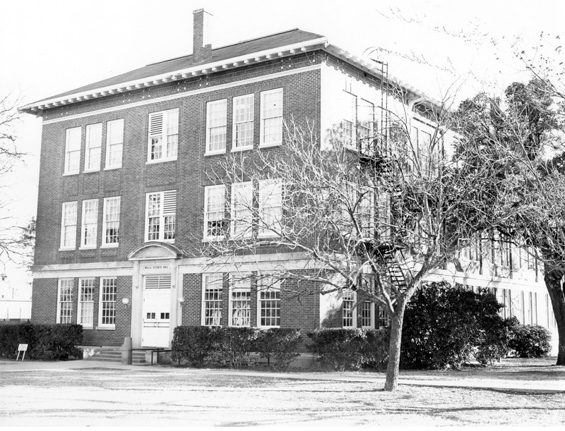 Building, Plant, Window, House