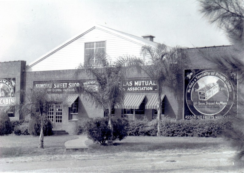 First Coachman citrus packing house, Clearwater, Florida, pre-1950. 