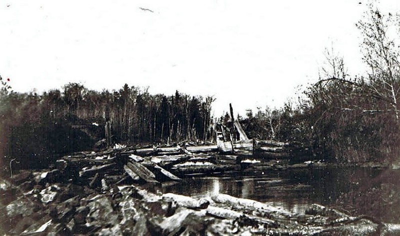 Sky, Water, Wood, Natural landscape