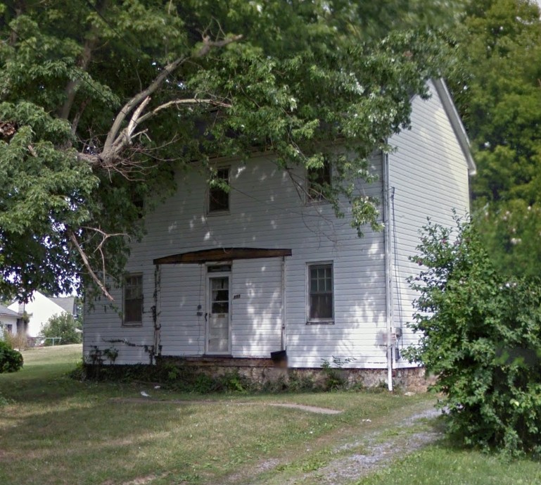 Plant, Building, Property, Window