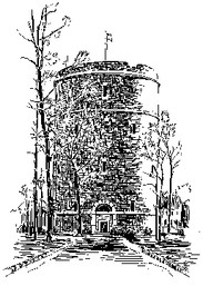 Line art, Architecture, Line, Tree