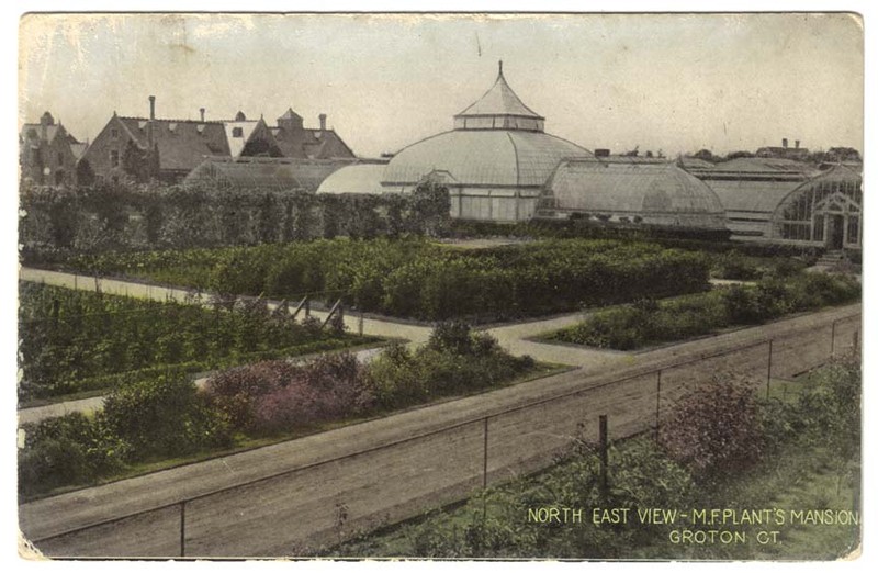 This postcard depicts what the greenhouses and fields looked like.