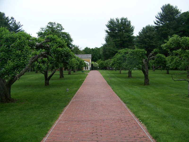 Heirloom Apple Trees