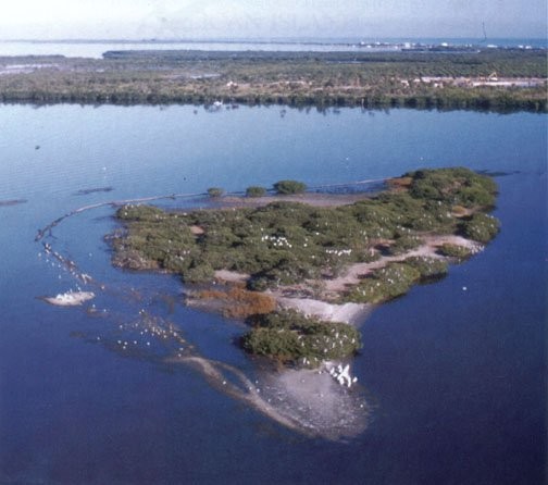 A full look at Pelican Island from above. 