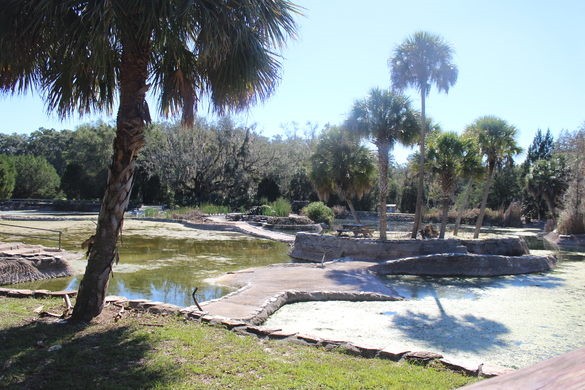 The surrounding area (1)