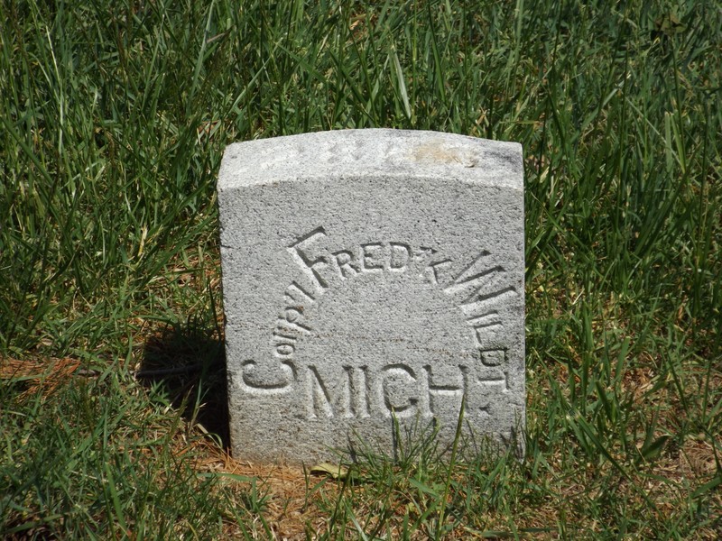 Plant, Headstone, Evergreen, Cemetery