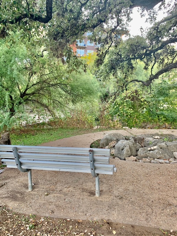 A clearing in the trail with a bench to rest on. (September 2019)