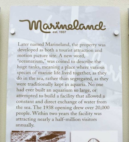 This sign is located between St. Augustine and Flagler Beach. It explains the history of Marineland, beginning in 1938 to what we know it as today.