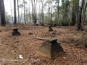 Another picture of one of the ruins.