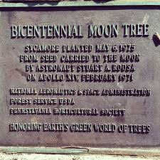 The first Bicentennial Moon Tree at Washington Square Park Historical Marker.