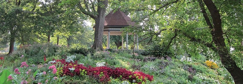 Flower, Plant, Tree, Building