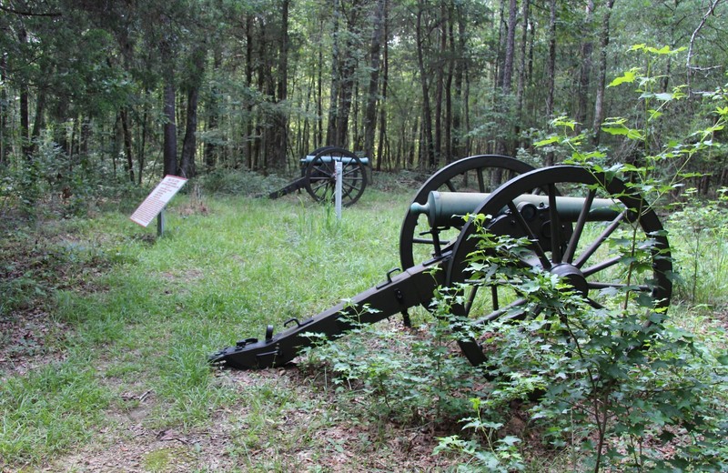 The wrought iron tablet commemorating the Douglas Brigade seen between two cannons. Retrieved from: https://www.hmdb.org/PhotoFullSize.asp?PhotoID=393283