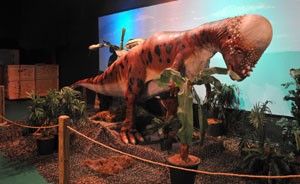The museum offers displays about dinosaurs and other animals, a simulated rain forest, coal mine, and airplane.