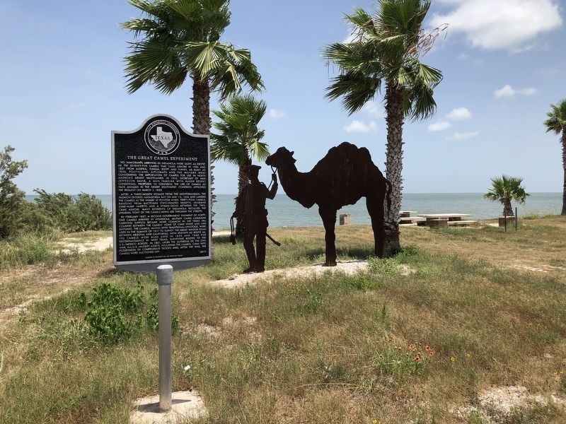 The Great Camel Experiment Marker. Photo by Brian Anderson, July 21, 2018. The Camel Experiment monument is displayed in Indianola, Texas, and in addition to a permanent tablet.