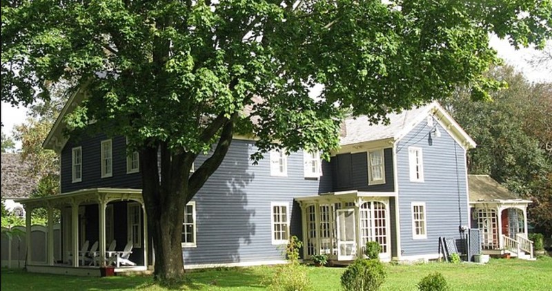 Plant, Building, Window, Tree