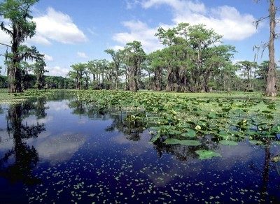 The natural beauty of the lake attracts many outdoors enthusiasts each year