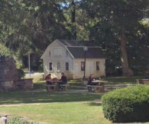 Plant, Building, Tree, Cottage