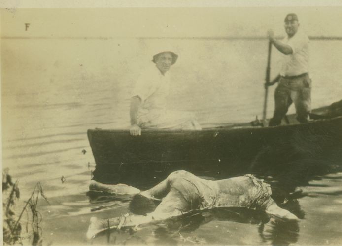 Volunteers recover bodies of victims from one of Florida's many lakes. 