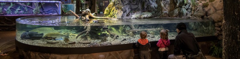 A picture of the Ohio Lakes and Rivers exhibit, taken from the aquarium's website