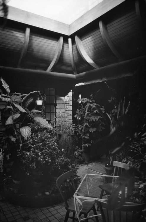 The rear terrace of the house was covered with this skylight in 1966