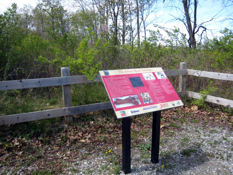 Adams Mastodon site, 2012