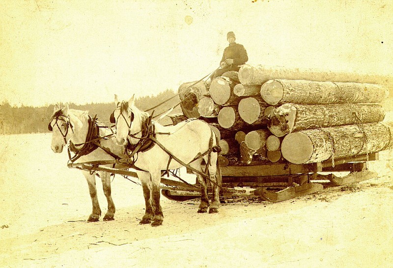 Horse, Wheel, Working animal, Horse tack