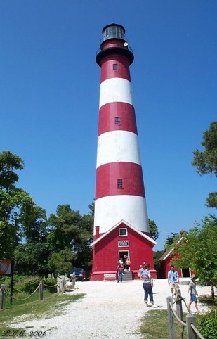 Assateague Island Lighthouse 