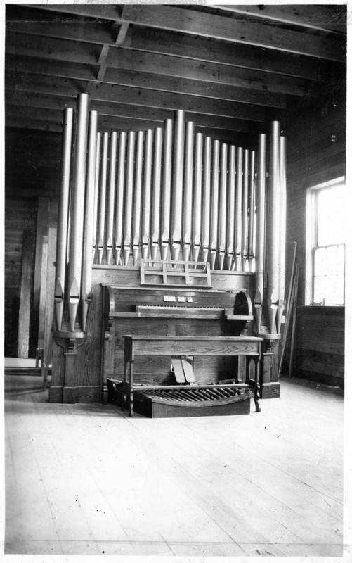 Musical instrument, Pipe organ, Human body, Wood