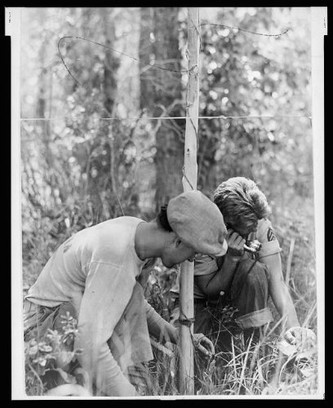 Phones within Glacier National Park were one means of preventing catastrophic forest fires. (Photo 1938)
