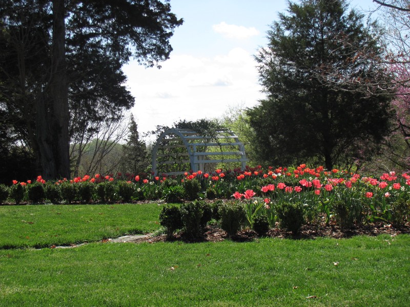 Triangular Beds, Spring