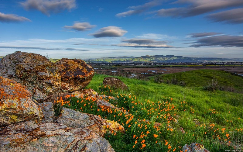 A photograph from Coyote Hills with Fremont's Mission Hills in the distance. Mission San Jose was nestled at the bottom of that distant range, but the reach of the Spanish easily included Coyote Hills and its Ohlone people (Jerry Ting).