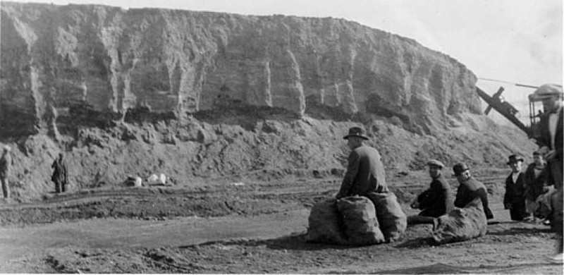 A 1924 photo of the destruction of the Emeryville shellmound. Over 400 such mounds existed throughout the Bay Area. Coyote Hills contains one of the few still preserved.