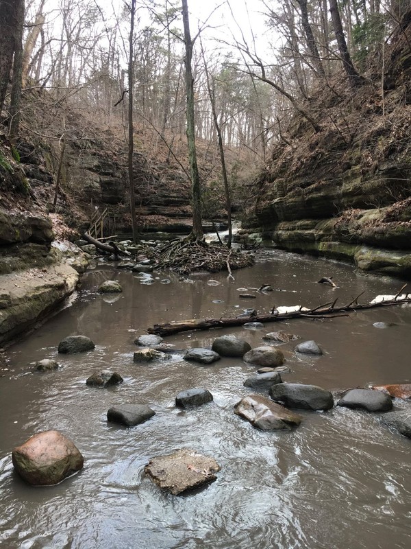 One of the many obstacles that hikers must overcome to reach Lake Falls. 