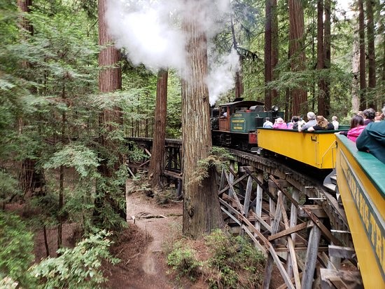 The present-day train winds through the redwoods on a wooden trestle. Norman Clark's route was complicated by wanting to cut down as few redwoods as possible (TripAdvisor).