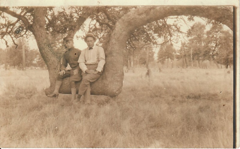 Lovers Oak c1918