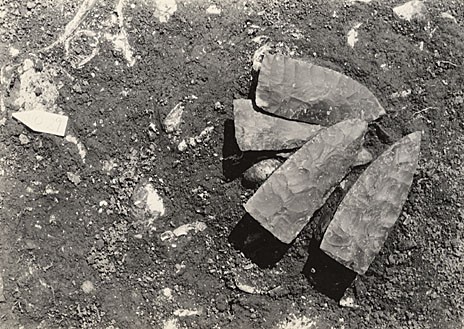 Cache of chipped stone knives from Indian Knoll. Photograph courtesty of William S. Webb Museum of Anthropology.