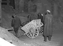 Wheel, Motor vehicle, Vehicle, Working animal