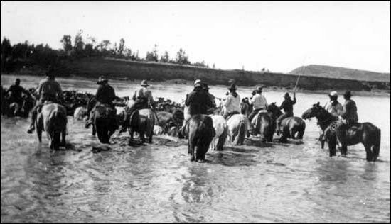 Here, Cowboys are crossing their cattle over a shallow river. The spontaneous rivers produced water and green grass for the cattle and a place to wash up find some relaxation for the Cowboys. 