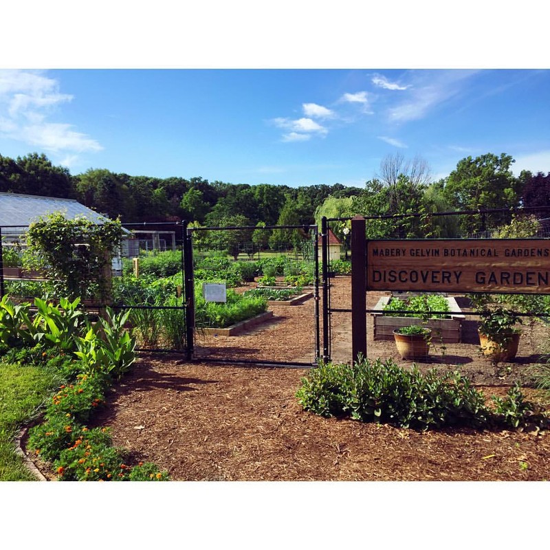 Entrance to the garden